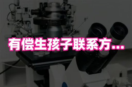 成都助孕网站 1