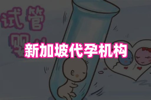 成都助孕网站 4